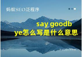 say goodbye怎么写是什么意思