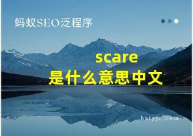 scare 是什么意思中文