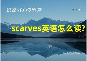 scarves英语怎么读?