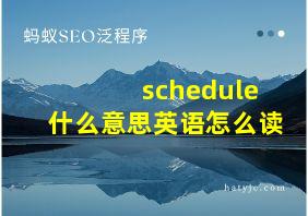 schedule什么意思英语怎么读