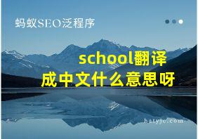 school翻译成中文什么意思呀