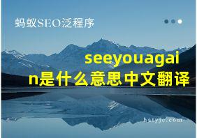 seeyouagain是什么意思中文翻译