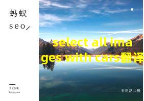 select all images with cars翻译