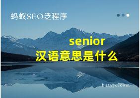 senior汉语意思是什么