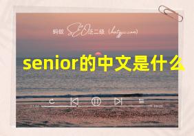 senior的中文是什么