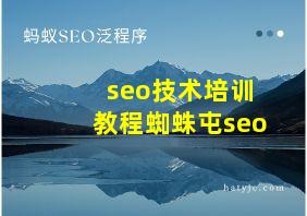 seo技术培训教程蜘蛛屯seo