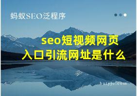 seo短视频网页入口引流网址是什么