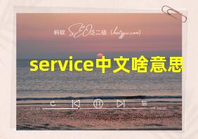 service中文啥意思