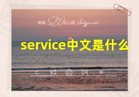 service中文是什么