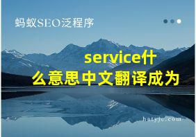 service什么意思中文翻译成为