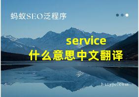 service什么意思中文翻译