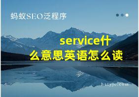 service什么意思英语怎么读