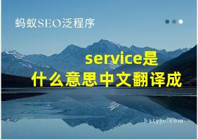 service是什么意思中文翻译成