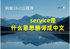 service是什么意思翻译成中文