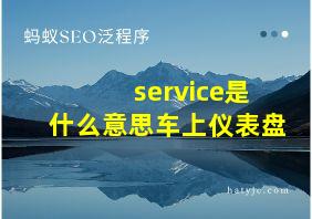 service是什么意思车上仪表盘