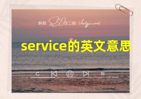 service的英文意思