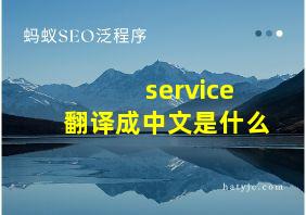 service翻译成中文是什么