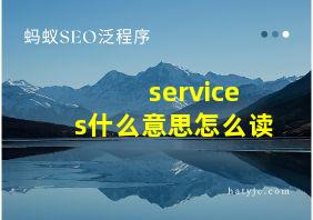 services什么意思怎么读