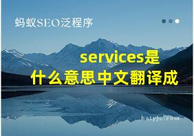 services是什么意思中文翻译成