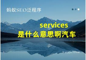 services是什么意思啊汽车