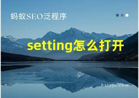 setting怎么打开