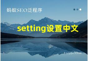 setting设置中文