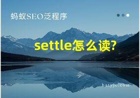 settle怎么读?