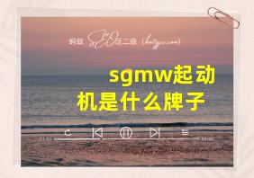 sgmw起动机是什么牌子