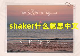 shaker什么意思中文