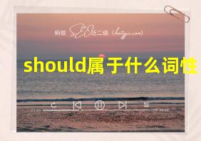 should属于什么词性