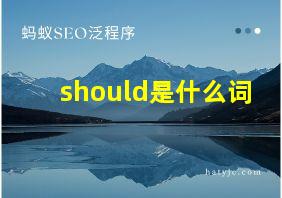 should是什么词