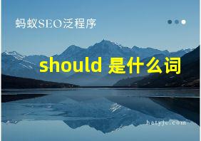 should 是什么词