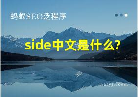 side中文是什么?