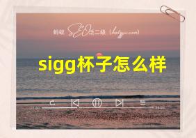 sigg杯子怎么样