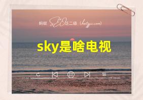 sky是啥电视