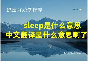 sleep是什么意思中文翻译是什么意思啊了