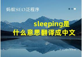 sleeping是什么意思翻译成中文