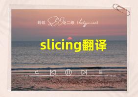 slicing翻译