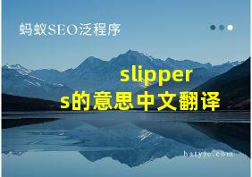 slippers的意思中文翻译