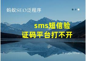 sms短信验证码平台打不开