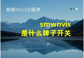 smwnvis是什么牌子开关