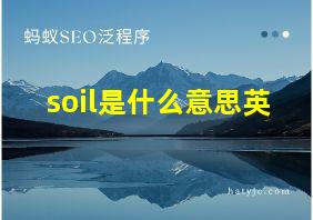 soil是什么意思英