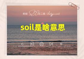 soil是啥意思