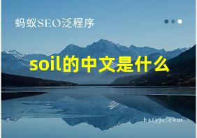 soil的中文是什么