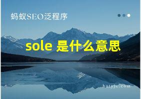 sole 是什么意思