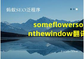 someflowersonthewindow翻译