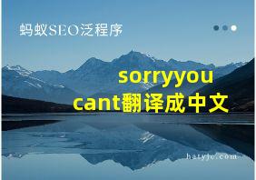 sorryyoucant翻译成中文