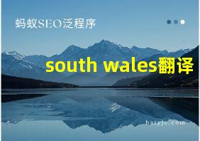 south wales翻译