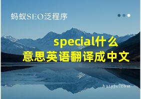 special什么意思英语翻译成中文