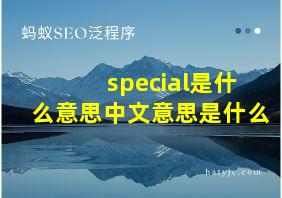 special是什么意思中文意思是什么